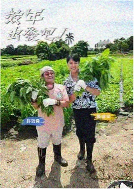 大妹子影视剧资讯：导演专访